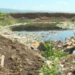 "Ribnjaci i ptice": Šta je Vučić hteo da kaže i zašto niko ne zna