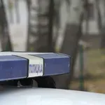 Na području Pećinaca zaplenjeno skoro sedam kilograma droge, krivične prijave protiv dvojice mladića