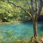 Homolje na raskrsnici: "Zlatna koka" ili pretnja vodama, ljudima i prirodi?