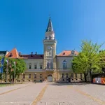Dan žalosti u Kikindi zbog pogibije sedmogodišnjeg dečaka
