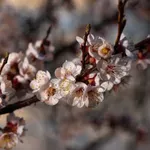 Vreme sunčano, toplo i vetrovito