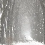 Hladno uz kišu na severu zemlje, u ostalim predelima - susnežica i sneg