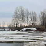 RHMZ upozorio na led na Tamišu kod Jaše Tomića