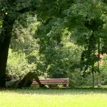 Održan protest protiv seče stabala u Futoškom parku: Građani i studenti obeležili deo parka za koji misle da će biti devastiran