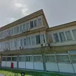 Beograd u pokretu: Istorijski arhiv Beograda dodelio posao vredan više od 100.000 evra bez javne nabavke firmi sa dva zaposlena