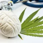 Nova istraživanja: Nema dokaza da marihuana leči anksioznost i depresiju