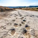 Otkrivena jedna od najdužih staza dinosaurusa na svetu
