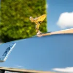 Vlasnik zamisli, Rols Rojs ispuni: Luksuzni brend napravio automobil posvećen psu Bejliju