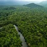 Požari u brazilskoj Amazoniji na najnižem nivou u poslednjih 40 godina