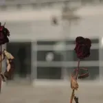 U nedelju, na Dan Novog Sada, komemorativna šetnja - 15 meseci od pada nadstrešnice