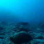 Južni okean krije tajne: Na dnu pronađeno stvorenje koje naučnici sa razlogom zovu "sfera smrti"