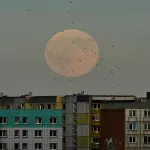 (FOTO/VIDEO) Najveći supermesec u godini