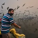 (KVIZ) Da li ste, zapravo, ornitolog?