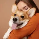 Italija ima više kućnih ljubimaca nego beba - natalitet ove zemlje je na istorijskom minimumu