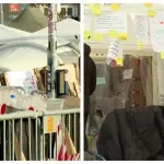 Dijana Hrka 15. dan štrajkuje glađu, Milomir Jaćimović sedmi