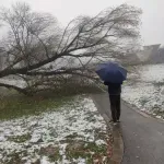 Sneg razotkrio staru nebrigu: Struja nestaje iz godine u godinu, stabla pucaju i padaju preko vodova