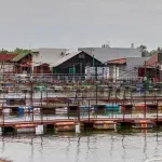 Nekad "ostrvo smrti", zatim simbol zloglasnog zatvora, a danas mirno utočište Beograđana