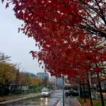 Promenljivo i vetrovito, uz povremenu kišu: Temperatura iznad proseka