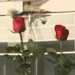 Trinaest meseci od pada nadstrešnice: Tri optužnice, nijedno suđenje, studenti poručuju - neće odustati