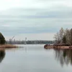 Gljiva iz Černobilja razvila neverovatnu sposobnost, radijacija joj prija