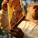 Kako da sigurno uvećate svoj novac?