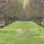 Eko-sistem program: Dodeljivanje do 15.000 evra za projekte zaštite životne sredine