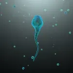 Sperma donora sa genom koji izaziva rak korišćena za začeće skoro 200 dece