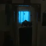 "Sramota je da ovo postoji u 21. veku": Meštani naselja kod Novog Sada gotovo dva meseca žive bez struje i vode