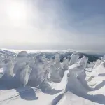Jedinstveni fenomen prirode: Da li ste čuli za snežna čudovišta?