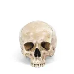 Otkriveno pravo poreklo "prve crne Britanke"