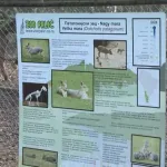 SSP: Radnici Zoo vrta "Palić" dobili otkaze jer su govorili o kršenju veterinarske etike