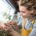 Priča o ostrigama - 200 miliona godina hedonizma