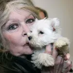 Fondacija Brižit Bardo nastavlja borbu za zaštitu životinja i nakon smrti glumice