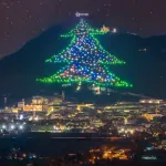 Velika kao 30 fudbalskih terena: Najveća jelka na svetu koja je upisana u Ginisovu knjigu rekorda