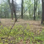 U Zvezdarskoj šumi planira se gradnja 8.600 kvadrata zgrada, investitor vlasnik mnogih firmi u Srbiji