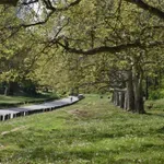 Nedeljnik: Za deo Košutnjaka se pravi Plan područja posebne namene sa ciljem urbane revitalizacije