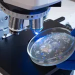 Na kineskoj svemirskoj stanici otkrivena superbakterija s dosad neviđenim sposobnostima