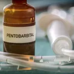 Građani Slovenije nisu izglasali Zakon o potpomognutom okončanju života