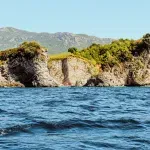 Hrvatski institut okeanografije: Jadranom se širi invazivna vrsta alge