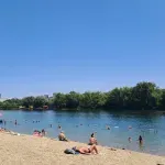 Neobičan prizor na Adi Ciganliji: U jezeru primećene slatkovodne meduze - da li su opasne?