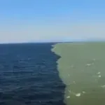 (VIDEO) Gde se susreću Tihi i Atlantski okean - naučnici objasnili zašto je granica vidljiva