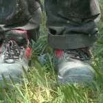 Danas: "Država dovede 100.000 stranaca, a onda ih ostavi na milost i nemilost poslodavcima"