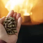 Kako odabrati adekvatnu vrstu peleta