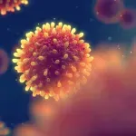 Šta je virus hepatitisa A koji je pronađen u srpskom voću u Nemačkoj