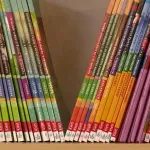 Niš, moj grad: Jednokratna pomoć od 20.000 dinara za roditelje osnovaca nije rešenje - već siguran posao
