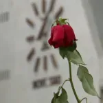 Raspisan konkurs za dizajn spomenika poginulima u padu nadstrešnice Železničke stanice