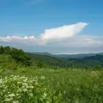 Glas Zaječara: Skijalište na Crnom vrhu ne radi treću zimu zbog nebezbedne žičare i propalih javnih nabavki