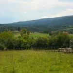 Bosanac prodao kuću u Nemačkoj i kupio pola rodnog sela - želi da ga pretvori u turističku destinaciju