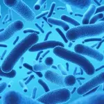 SZO upozorila na nagli porast otpornosti na antibiotike
