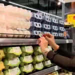 Ministarka Lazarević: Uredba o maržama važiće do kraja februara, tri zakona uvešće red na tržištu